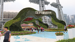 海南风味——舌尖上的热带风情